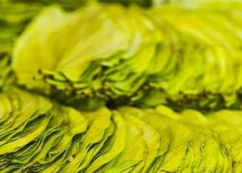 पान खाने से मुंह लाल होता है